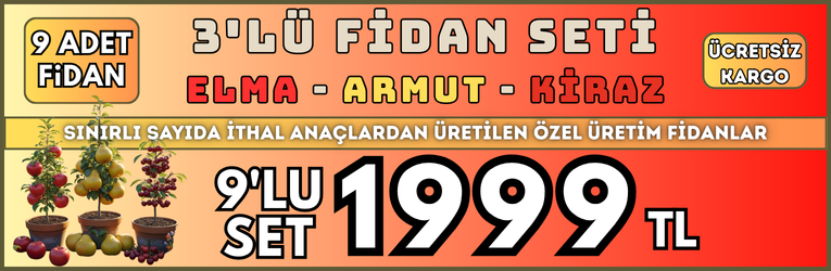 9 Adet 3lu Meyve Seti - Elma - Armut - Kiraz