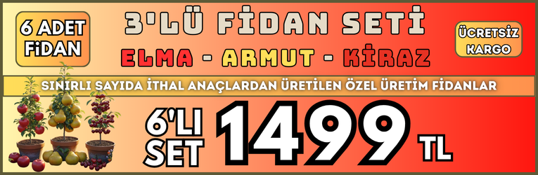 6 Adet 3lu Meyve Seti - Elma - Armut - Kiraz